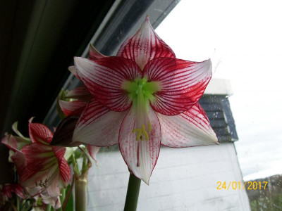 100_5962.JPG