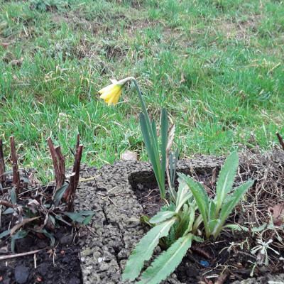 20180123_104013.jpg