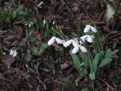 DSCF4645.JPG