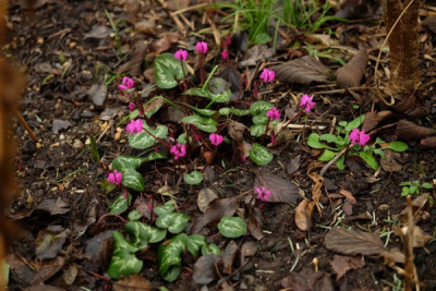 DSCF4668_2879.JPG