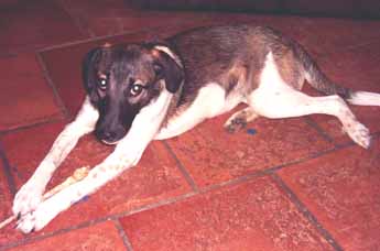 Amy_und_der_ZP_6_Kopie.jpg