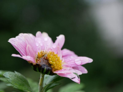 P1100099 - Kopie.JPG