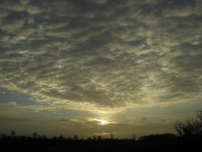 Januar 2018 - 3 047.JPG