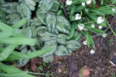 DSCN0236.JPG