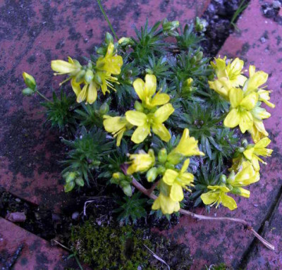 2007-02-25_006.JPG