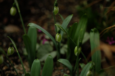 DSCF4710_2897.JPG