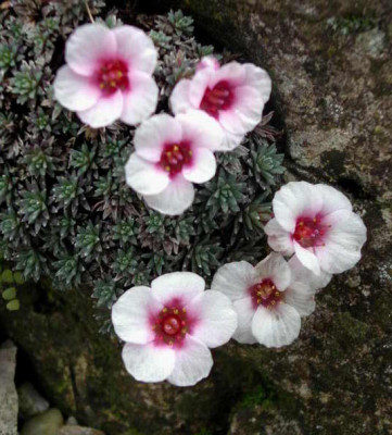 2007-02-25_008.JPG