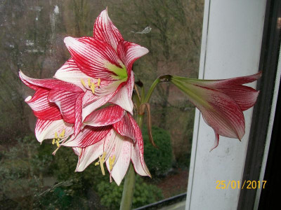 100_5980.JPG