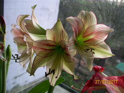 100_6027.JPG