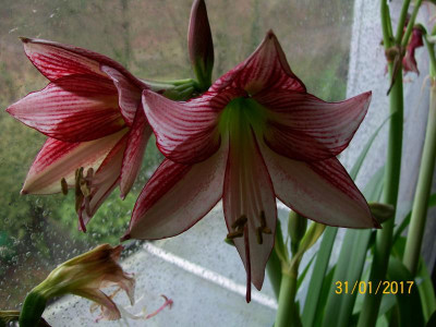 100_6044.JPG