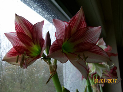 100_6045.JPG