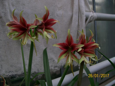 100_5992.JPG