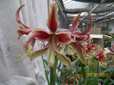 100_5995.JPG