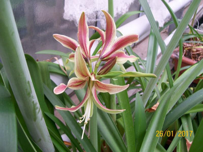 100_6005.JPG