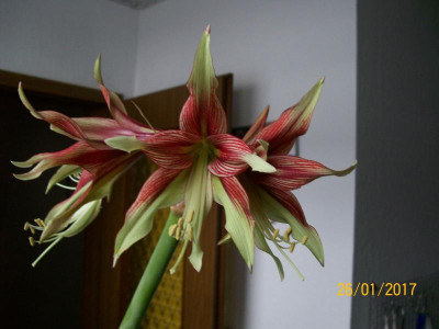 100_5983.JPG