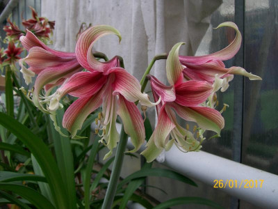 100_5989.JPG