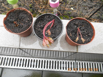 DSCN4688.JPG