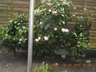DSCN4689.JPG