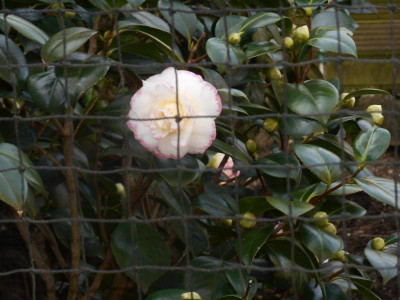 DSCN0856.JPG