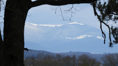 DSCN1796.JPG
