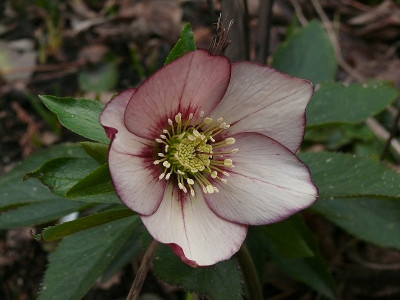 b0402133_800.jpg