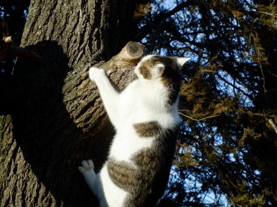 DSCF5535.JPG