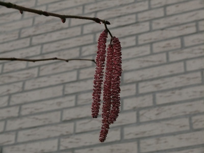 b0402127_800.jpg
