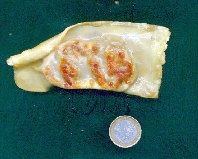 grunkohlmaultasche.jpg