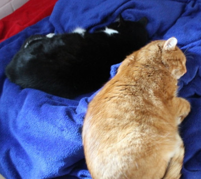 Katers.jpg
