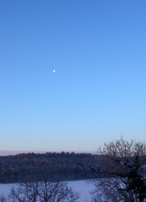 DSC03757060218.jpg