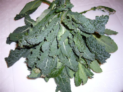 Palmkohl_26.02.2007..JPG