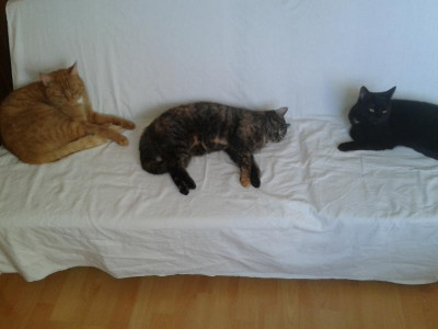 20180207_132711.jpg
