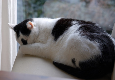 Edgar-am-Nachmittag.jpg