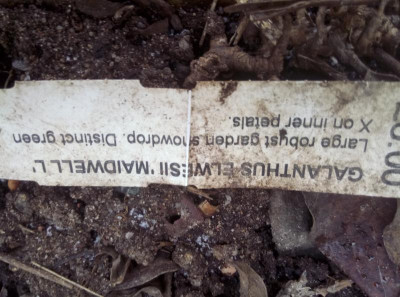 IMAG0720.jpg