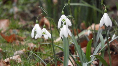 DSCN1867.JPG