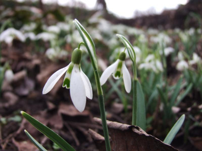 DSCF0493.JPG