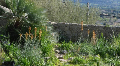 Garteneinblick 18-02-11.jpg