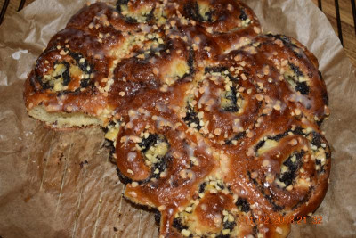 hefeschnecken 002.JPG