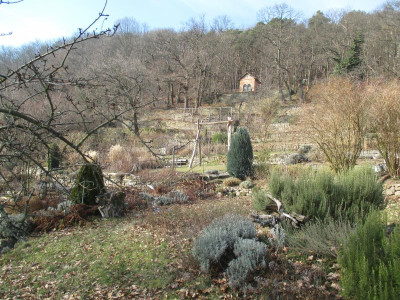 Blick zum Wald 20170128.JPG