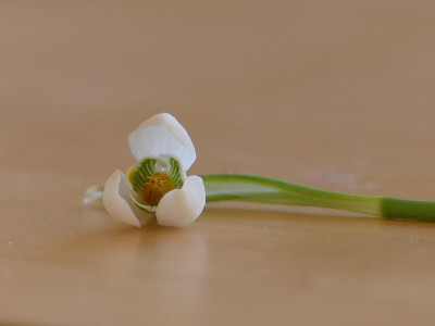 P1020007.JPG