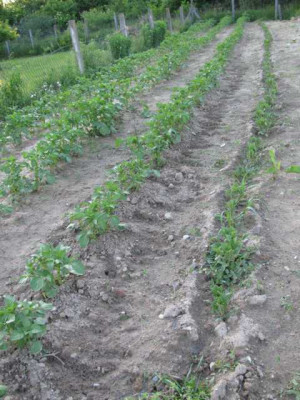 K640_IMG_0575.JPG