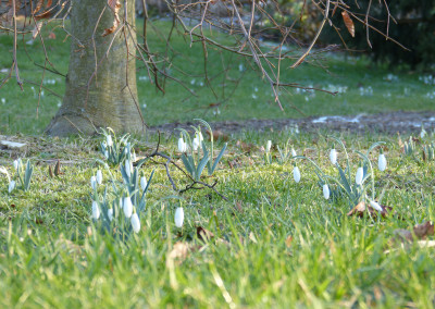 2018-02-14 Gartenimpressionen 5.jpg