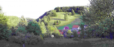 unsere wiese.jpg