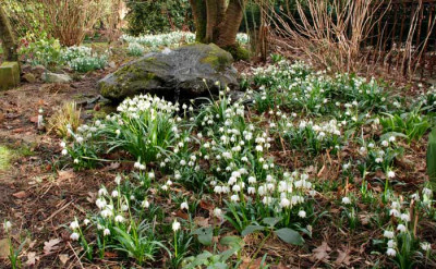 Sprudelstein-im-Februar-k.jpg