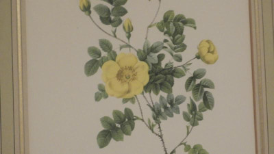 DSCN1890.JPG
