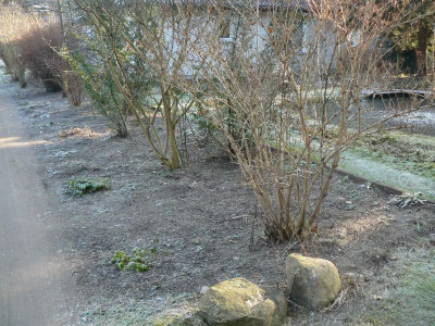 P1230945.JPG