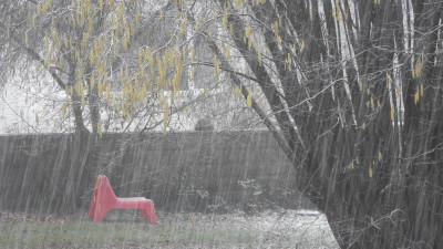 DSCN1952.JPG
