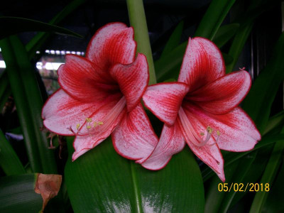 100_6064.JPG