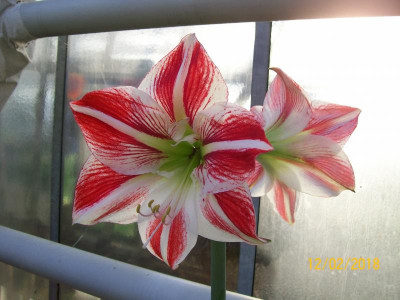 100_6090.JPG