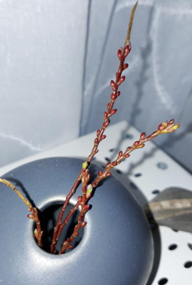 20180220_144626.jpg